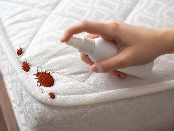 Best Affordable Pest Control Services  in Antioch, IL